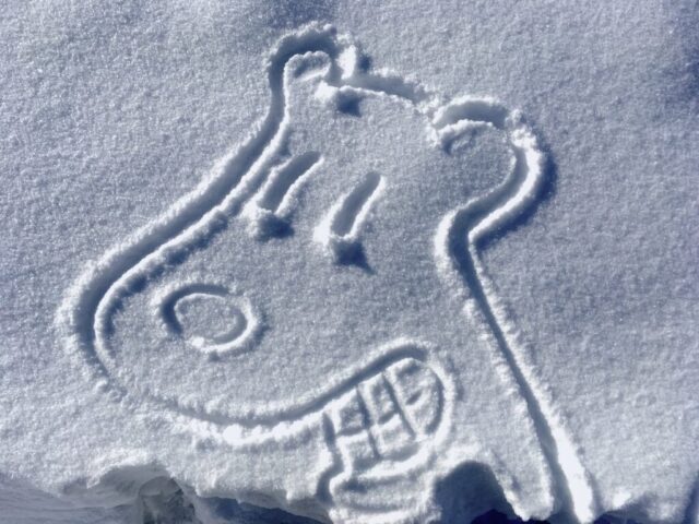 Snow Doodle